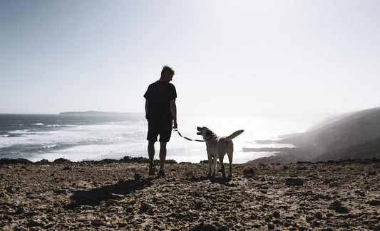 Tips for a happy healthy dog by Olivia Parker