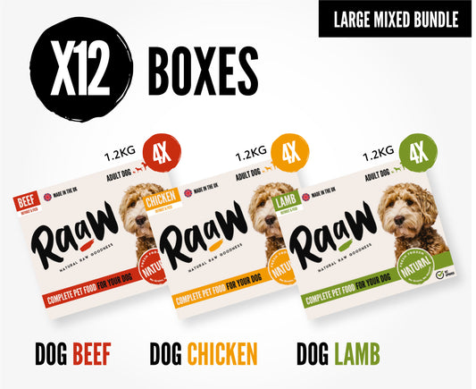 Pack of 12 Dog Food Bundle